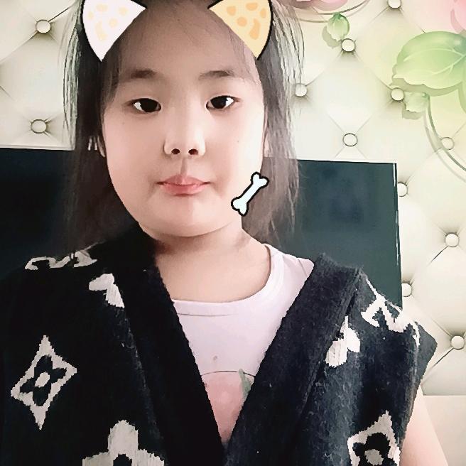 雪妮芳继承者