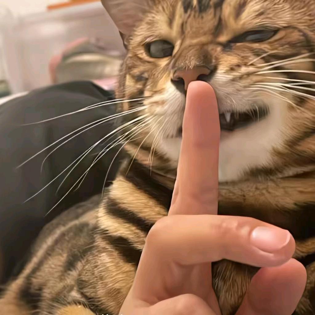 忍冬