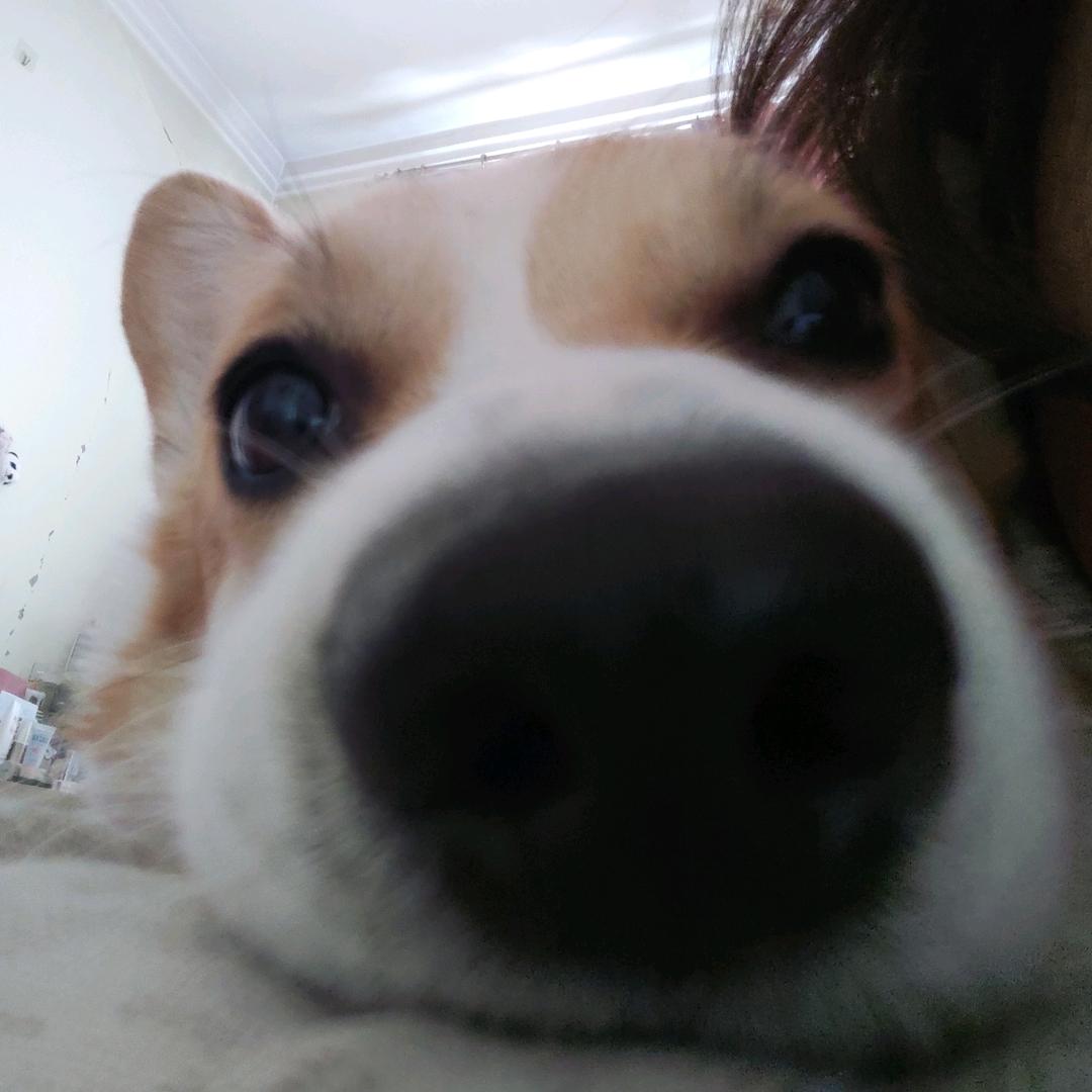 新鲜