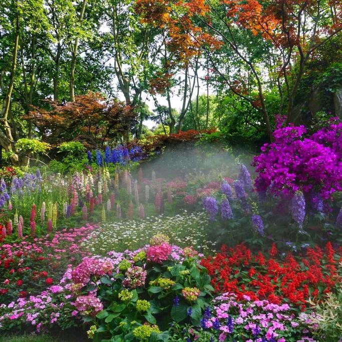 盛森花卉