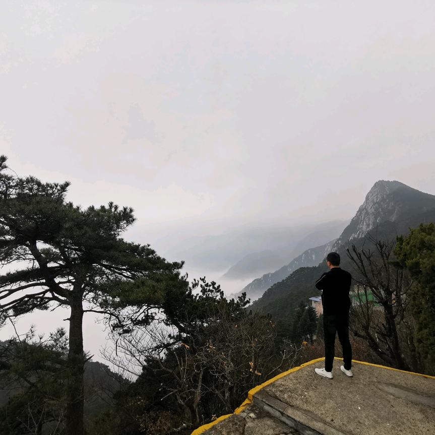 亲爱的石头哥
