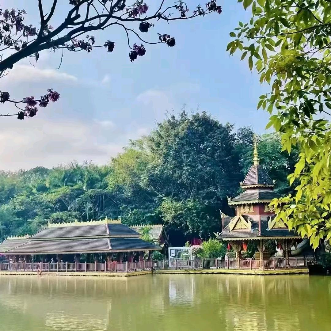 宏润佳彩南游咨询