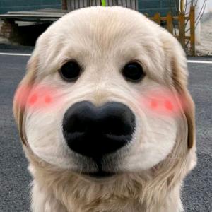 刘薄膜202304040216