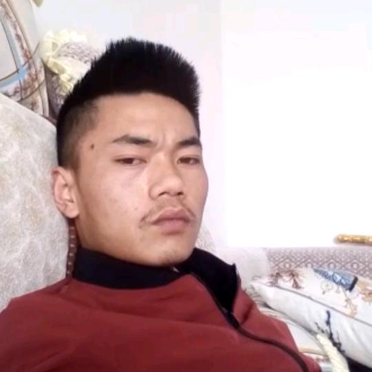 陈金明