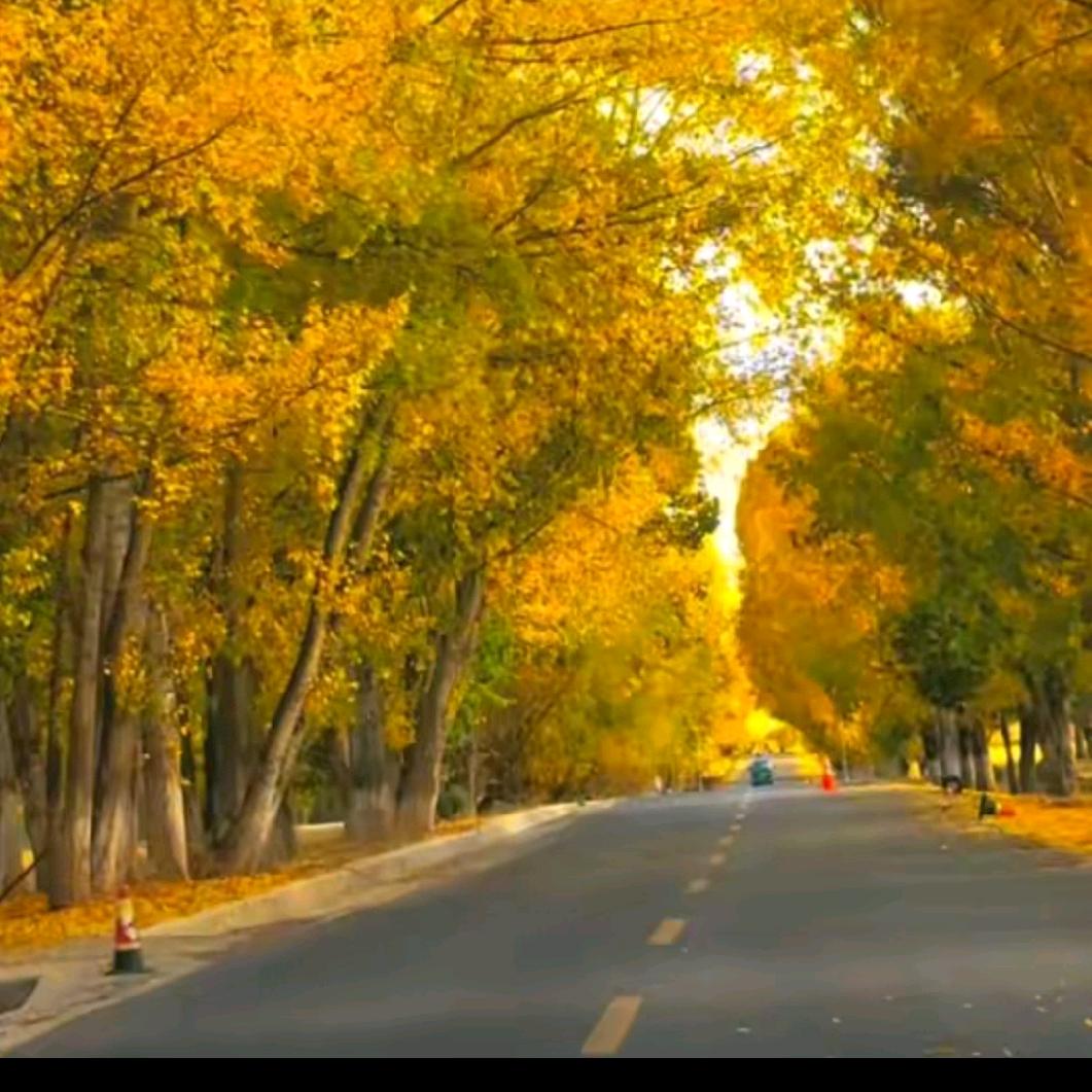 ♥(｡￫v￩｡)♥