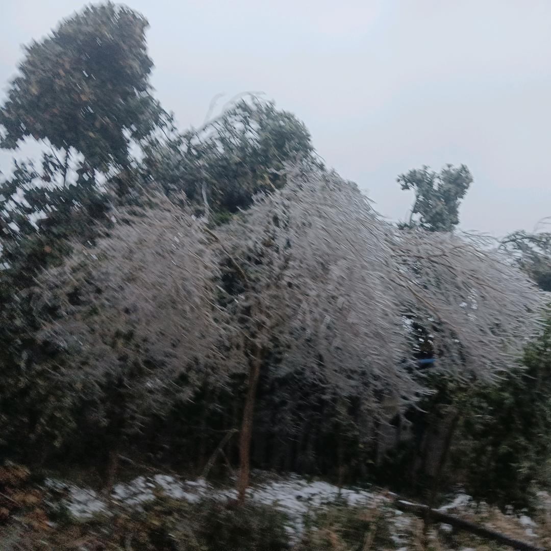 回归自我