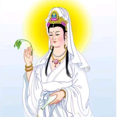 😊玫瑰花😐