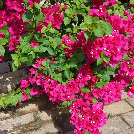 陈姐带你吃喝玩乐