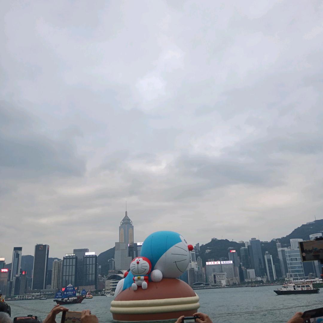 四季桔