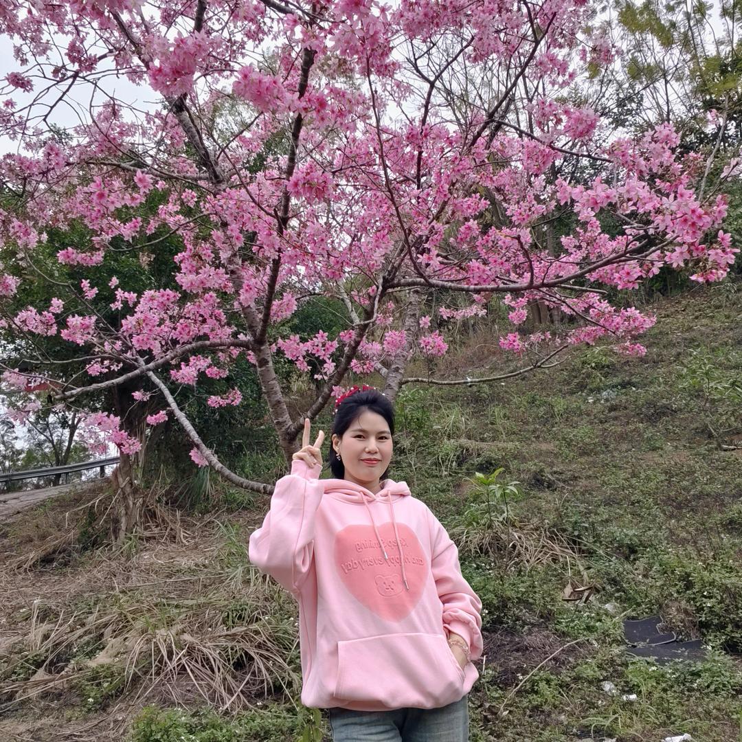 木棉花.