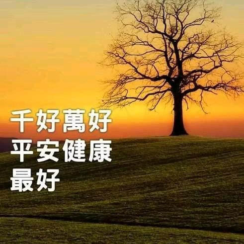 💫文雨姐