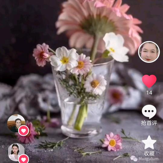 🌹💜gule ❤