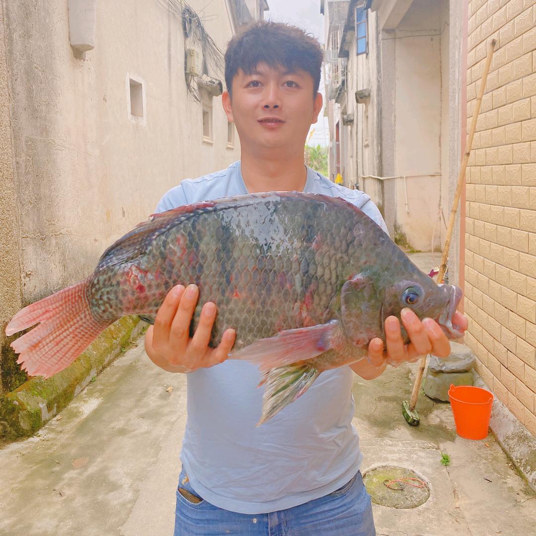 渔乐人生（阿俊）