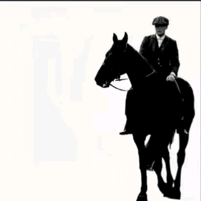 捧一杯茉莉花茶