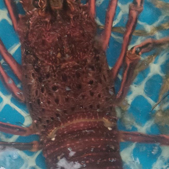 帮助别人快乐自己