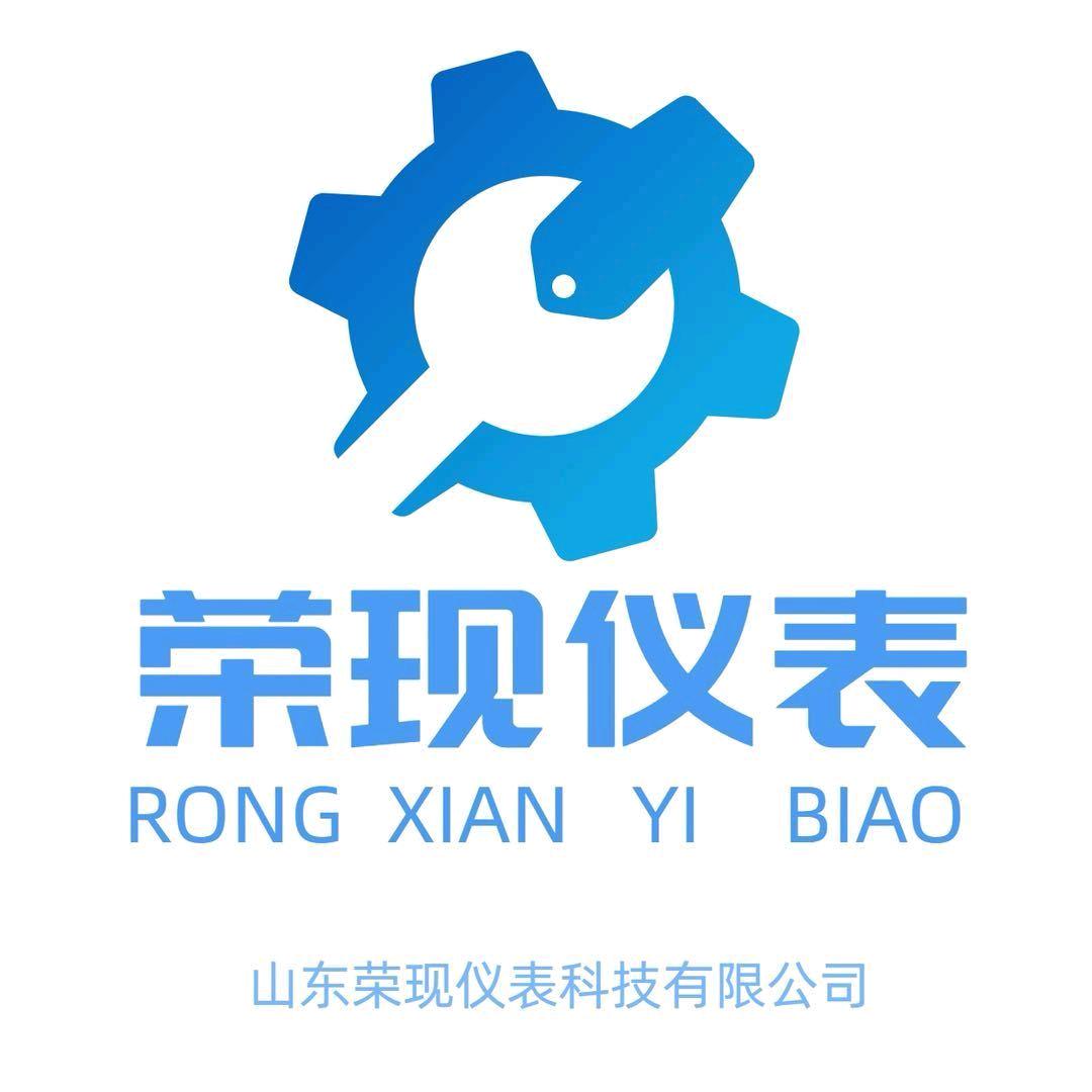 山东荣现仪表科技有限公司