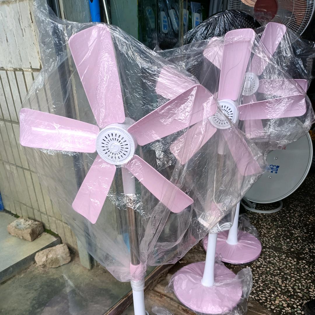 ‘金’水楼台