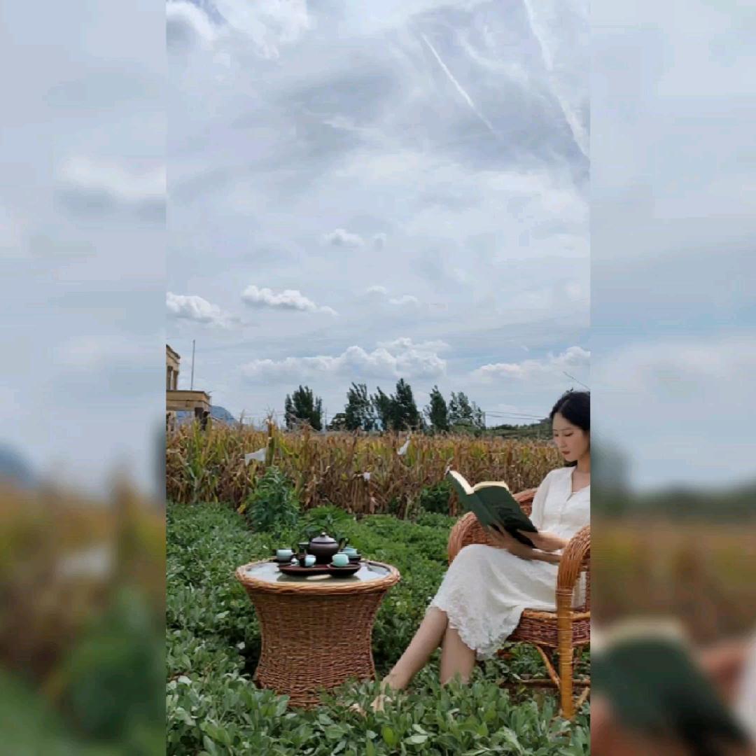 刘霞