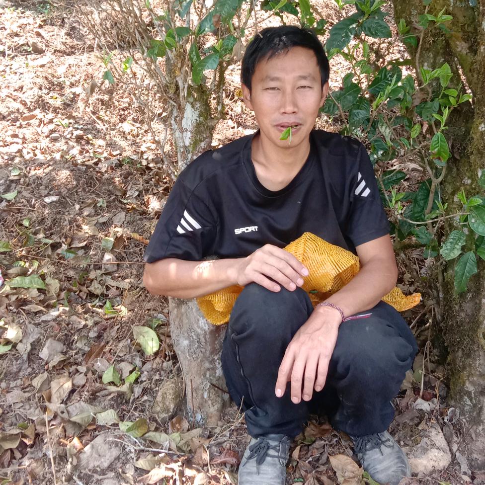 幸福古树茶