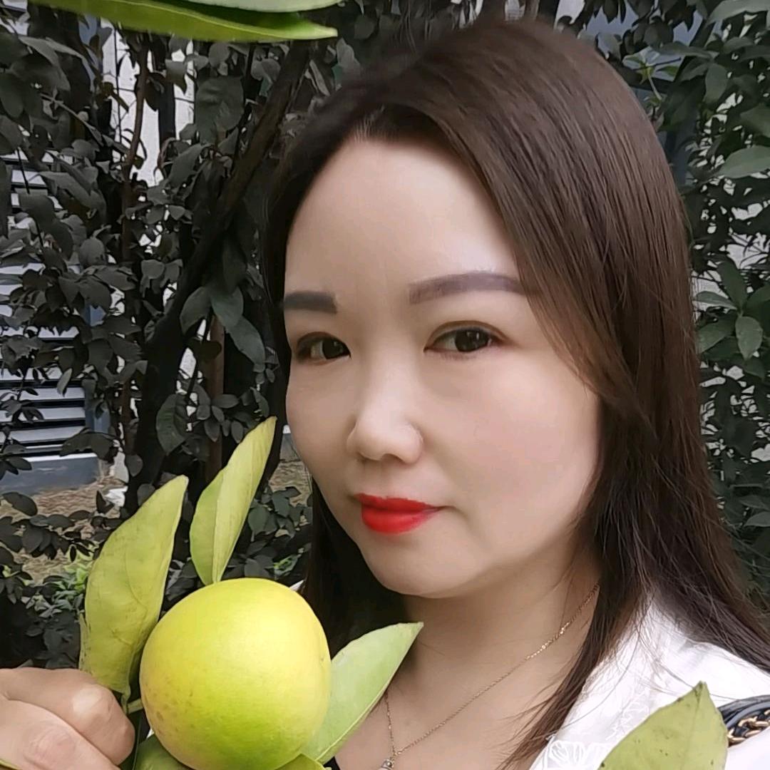 小松鼠壁挂炉海信家电《十堰环球港总店》