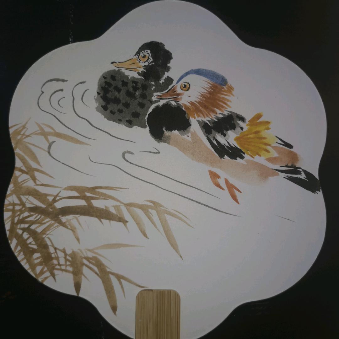 天泽喵喵
