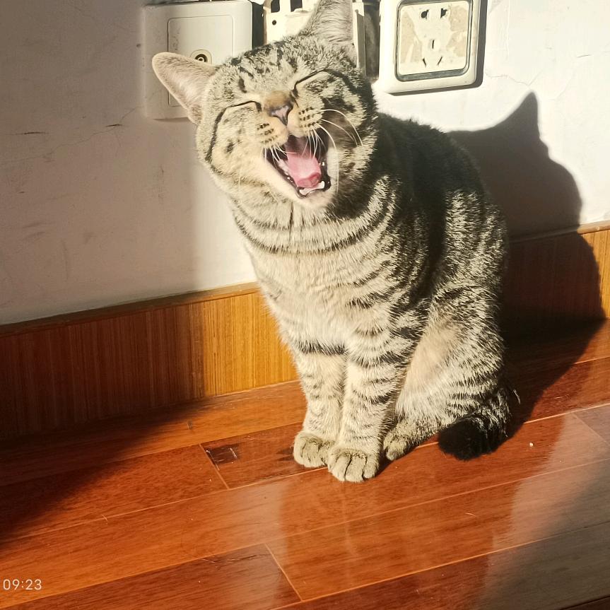 姜辣辣