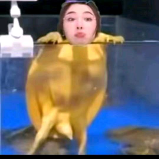 吹吹人间发财风