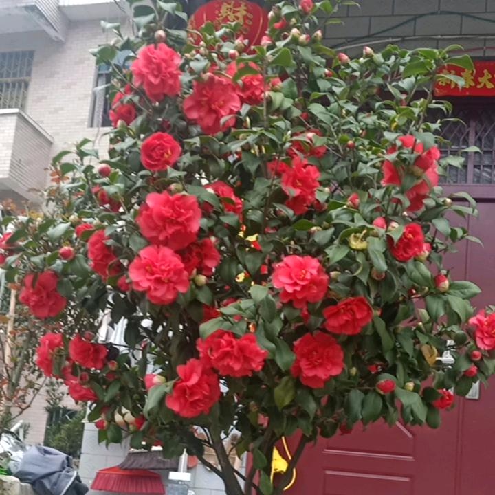 你的忽冷忽热我觉得没意思