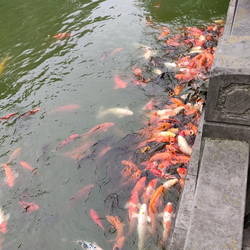 黄姐