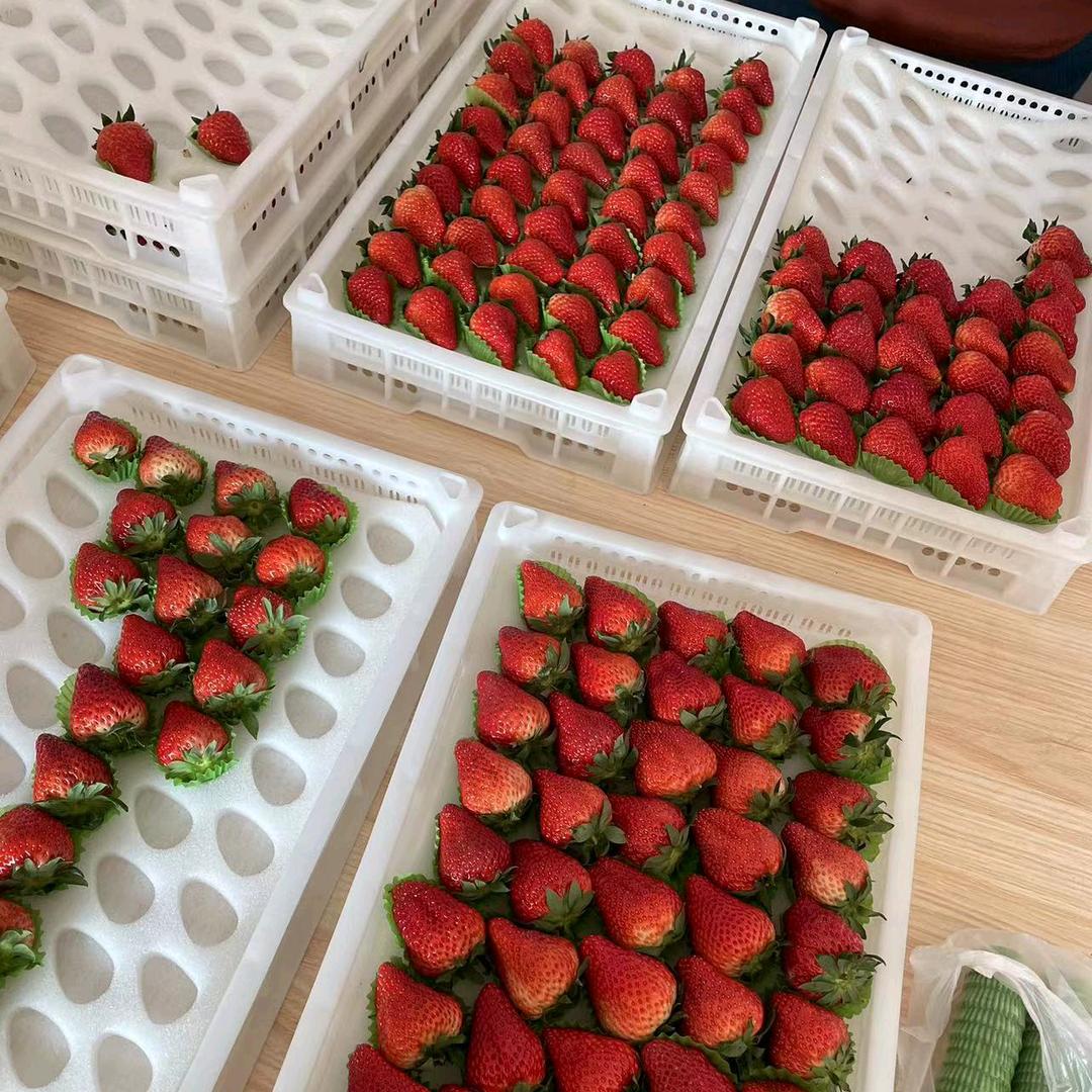 王会芳
