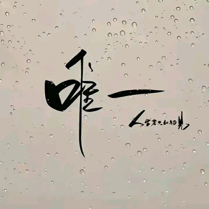 海上森林（杨永波）
