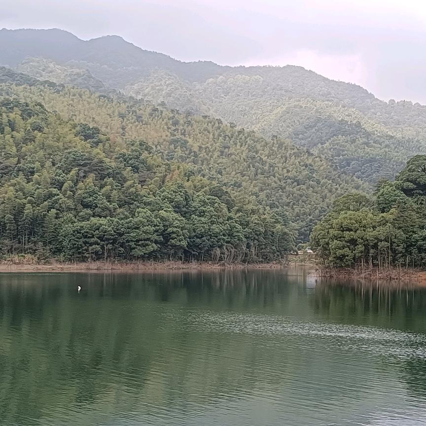 小赤
