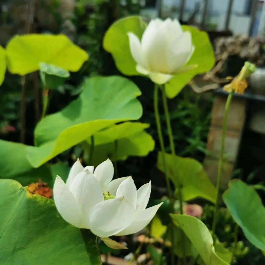 签收幸福🌹