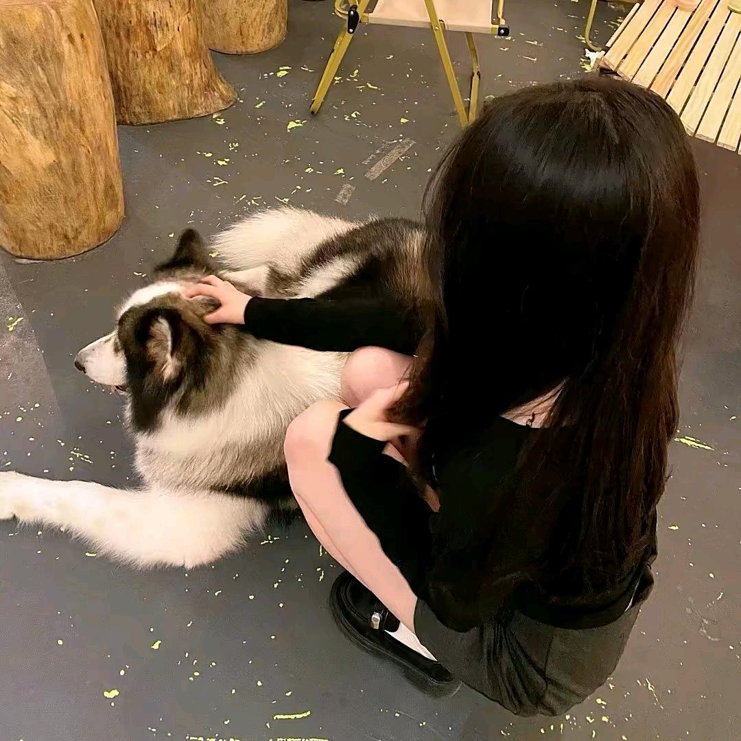 秋