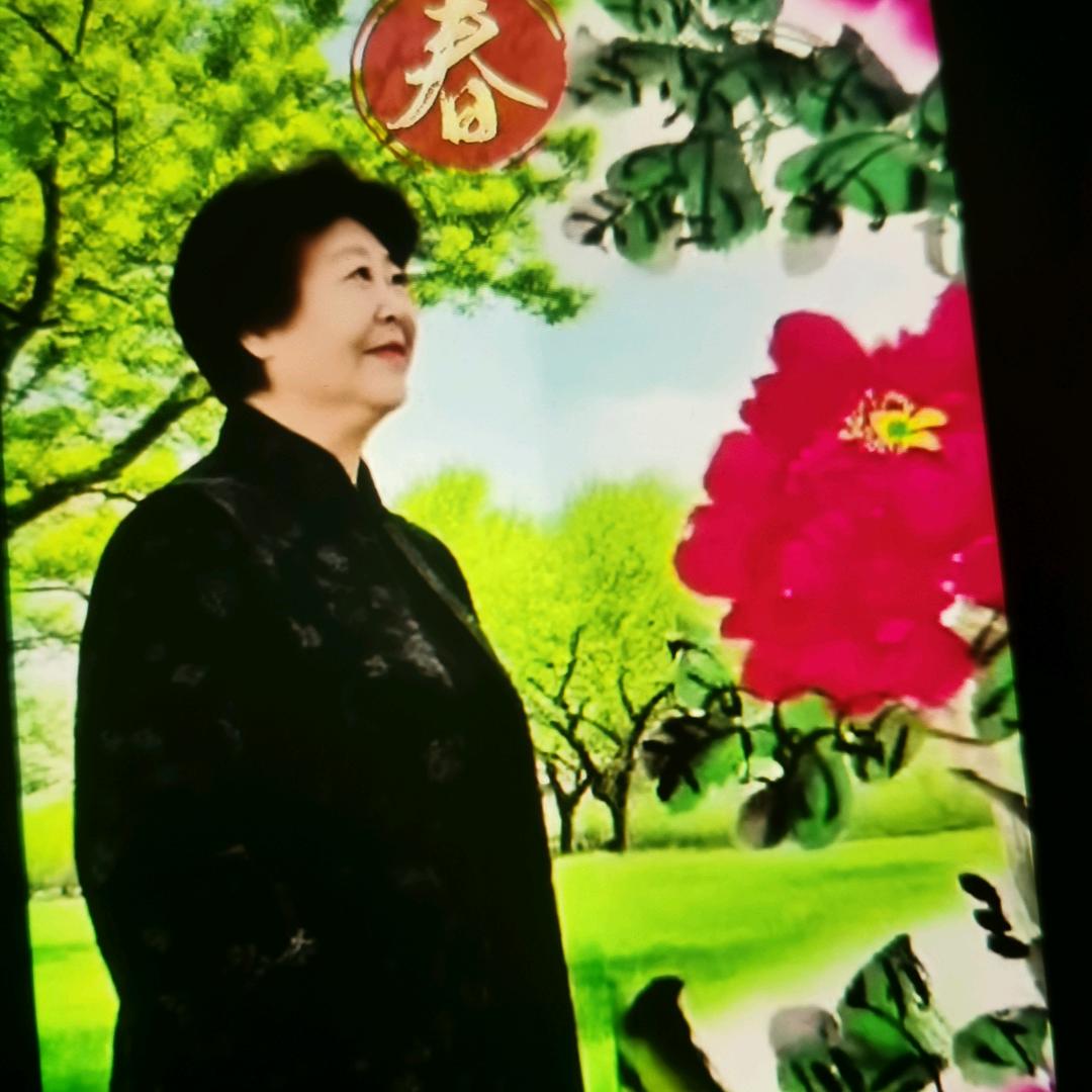 长寿花。