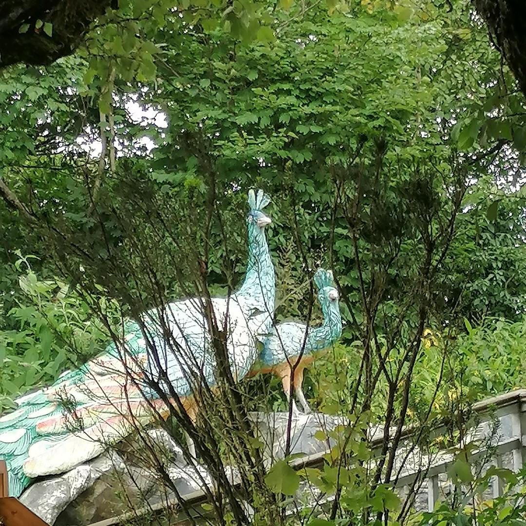 兰妮1996