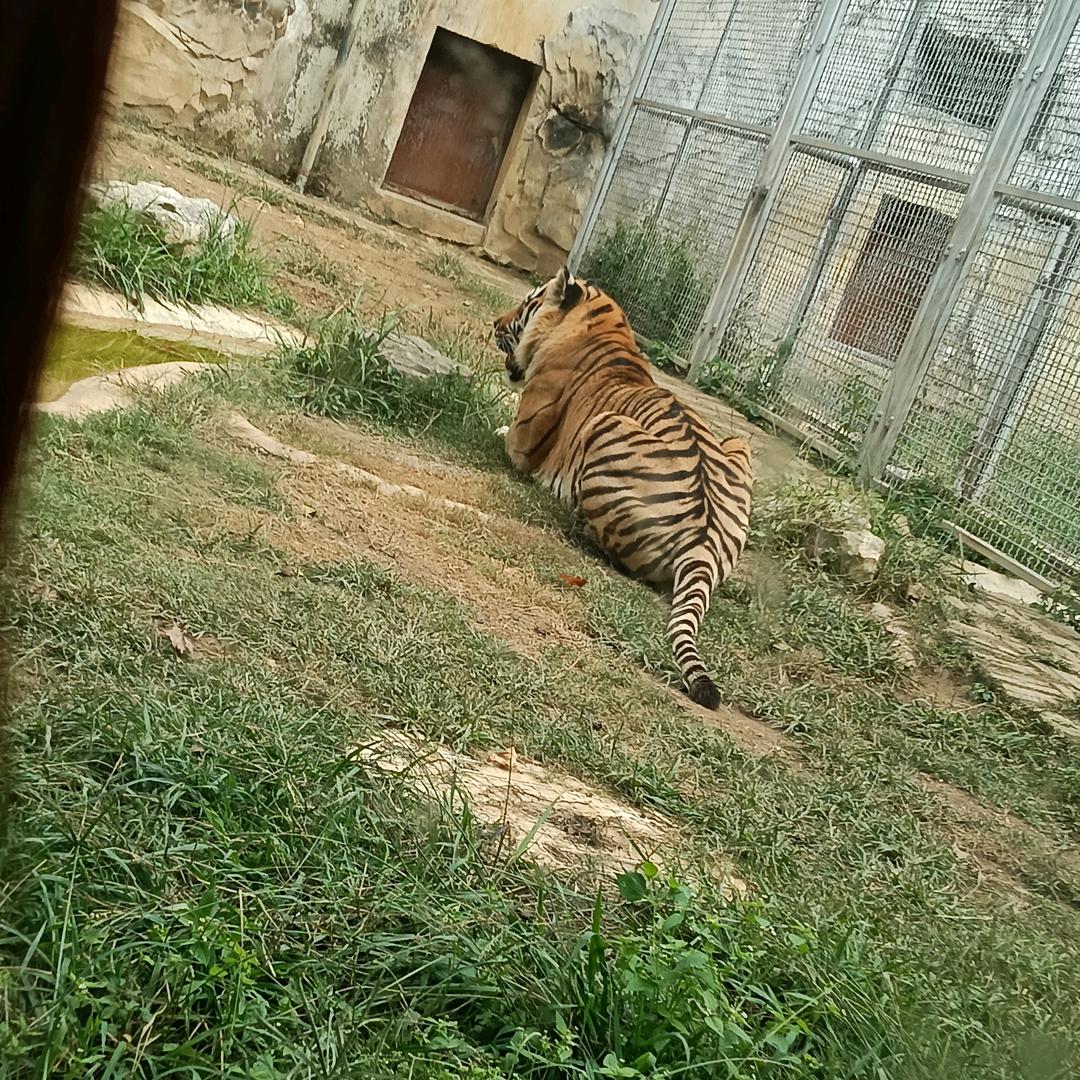 赘婿登场٩(•̀b •́ )و