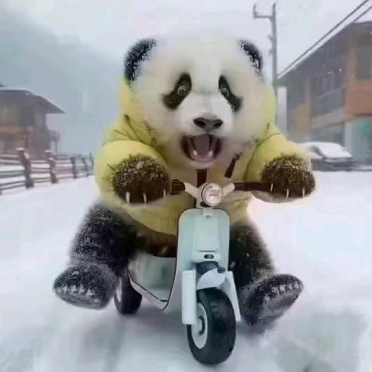 阿波