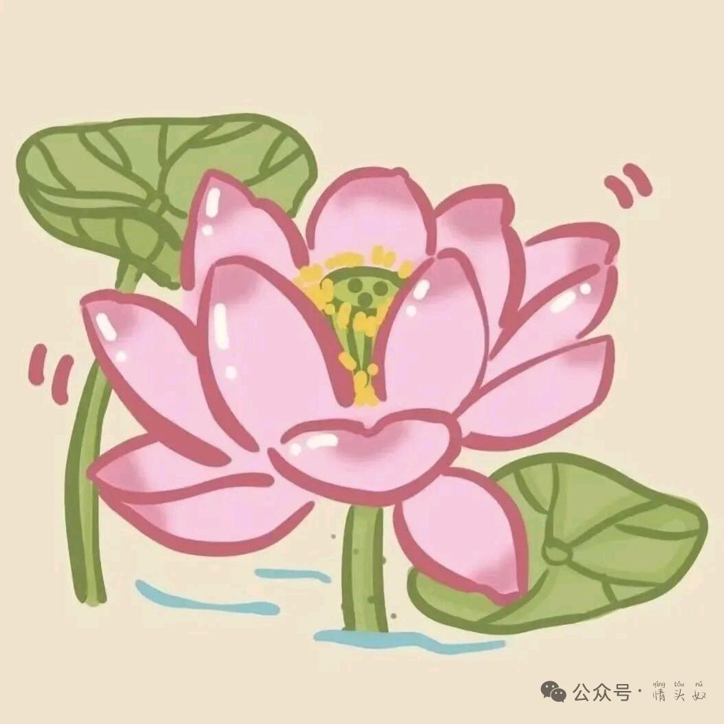 淋着雨