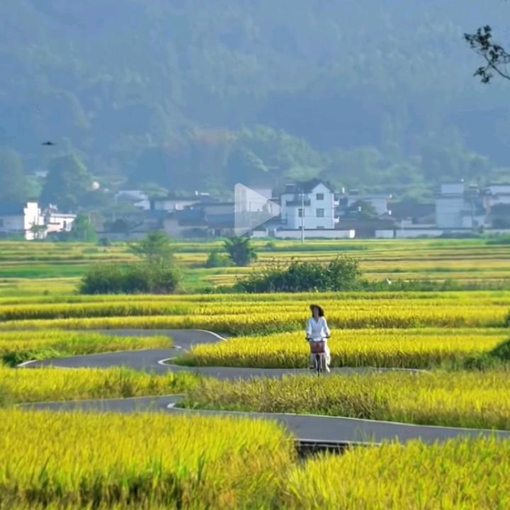 五宝山蔬菜