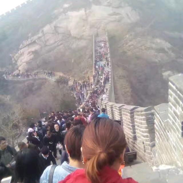 酱酱.