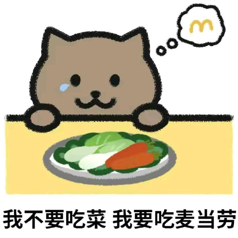 小莫睡着了