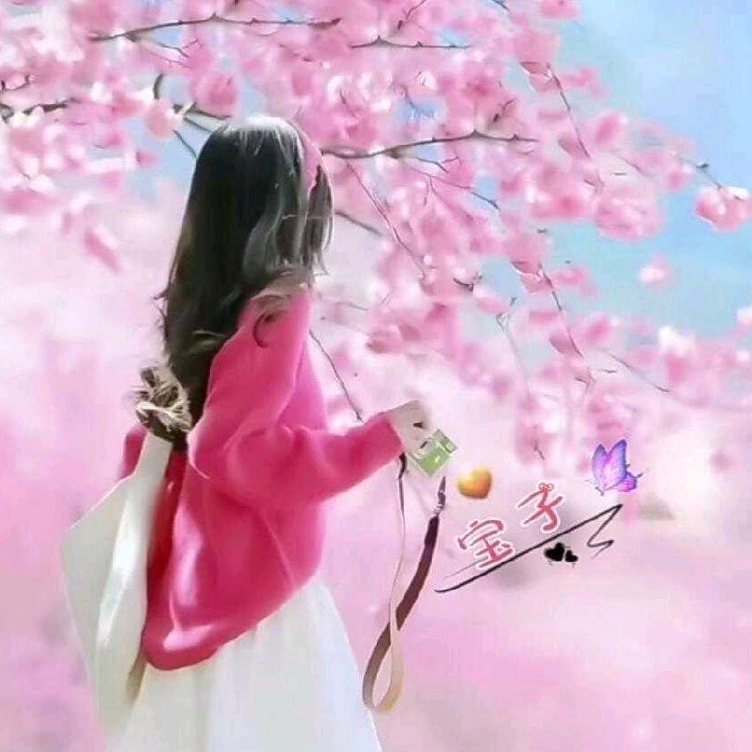 小宝🍒