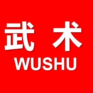 武术装备