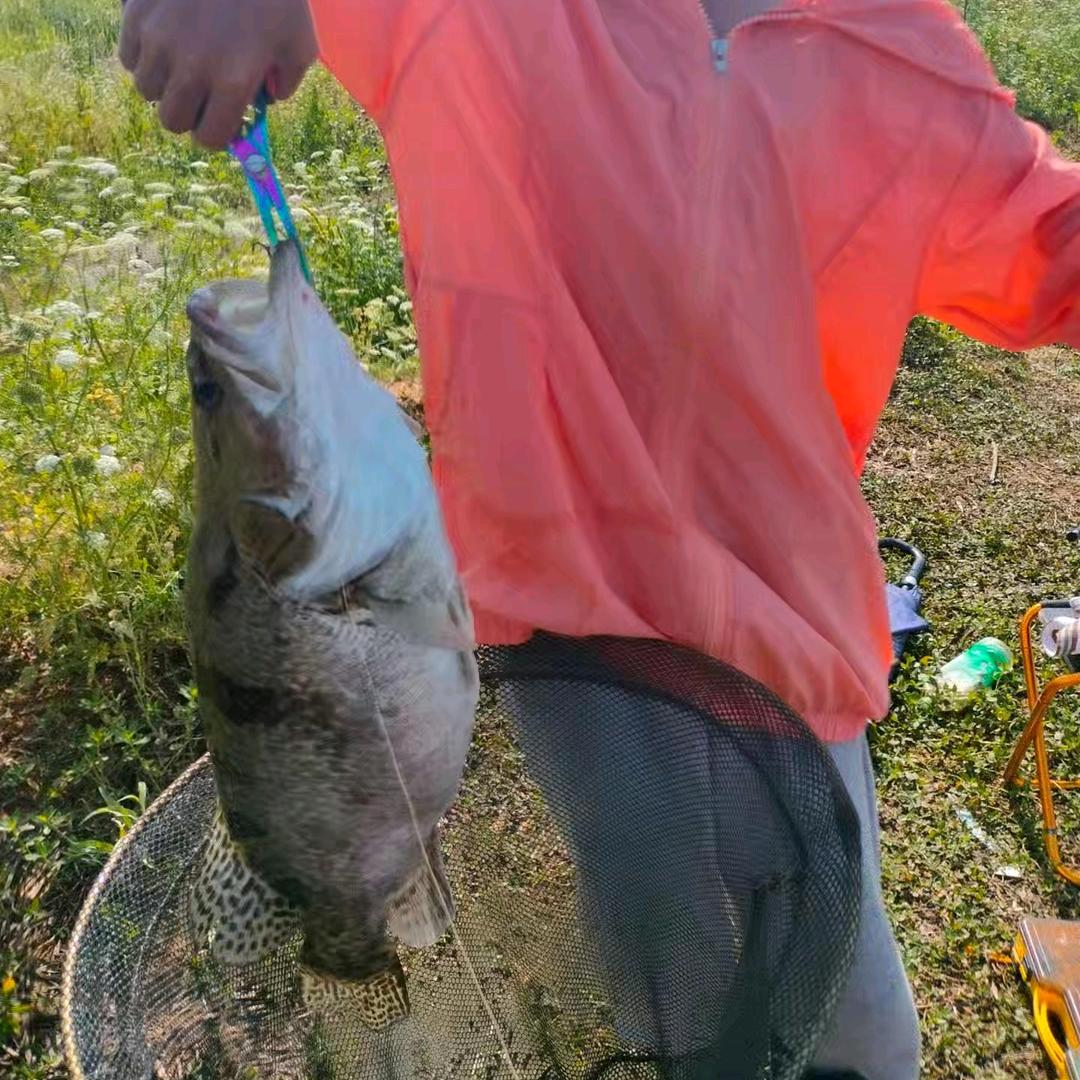🌈小李玩路亚🐠🐟