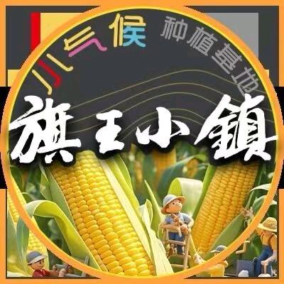 旗王小镇蔬菜制品旗舰店