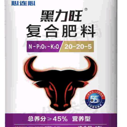 兵临城下