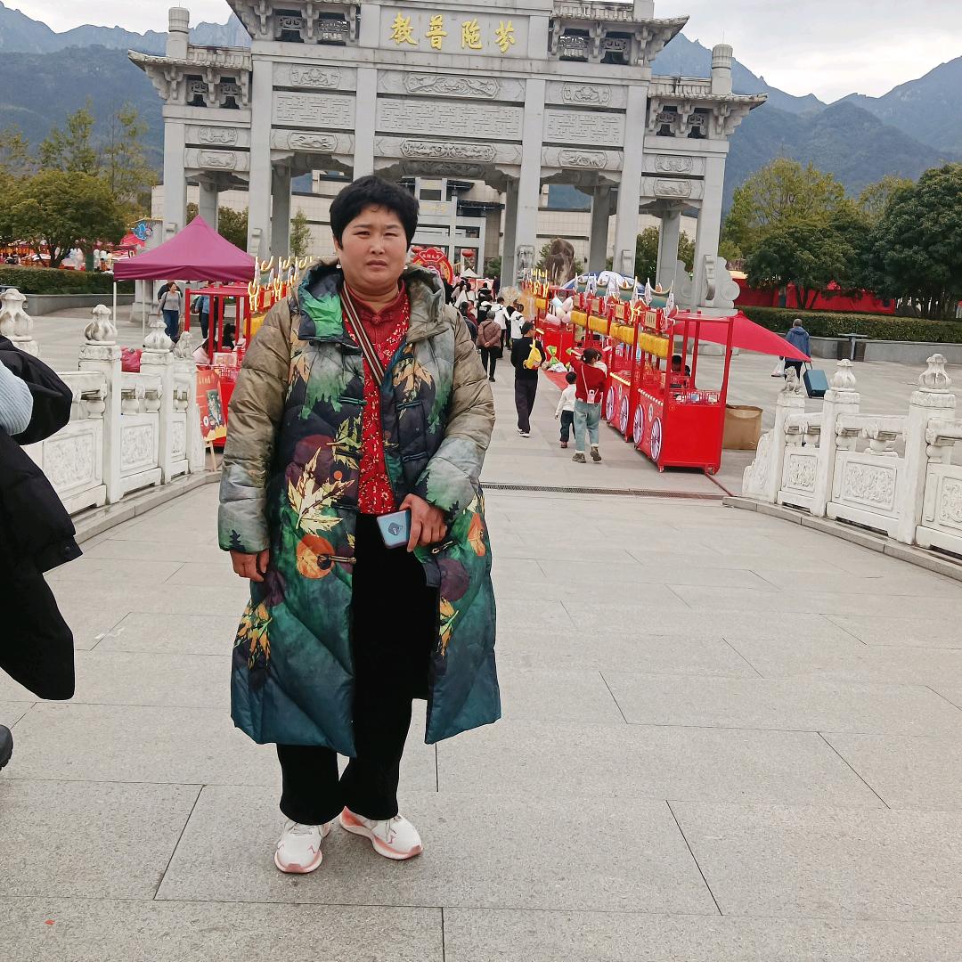 用户杨琴