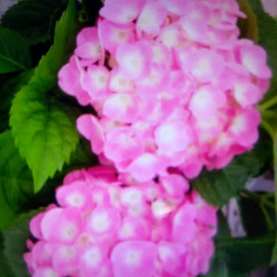 用户8504107995571