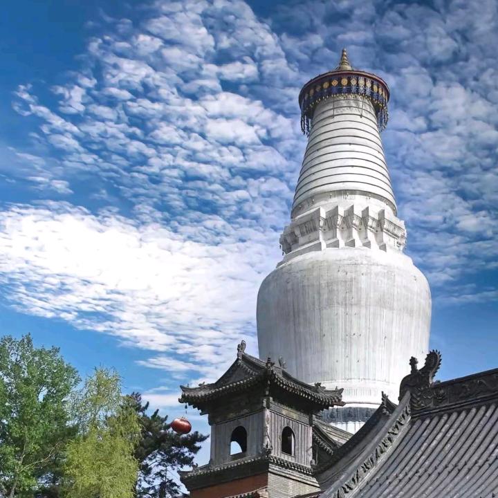 长春五台山直通车-慧安(慧可家族)